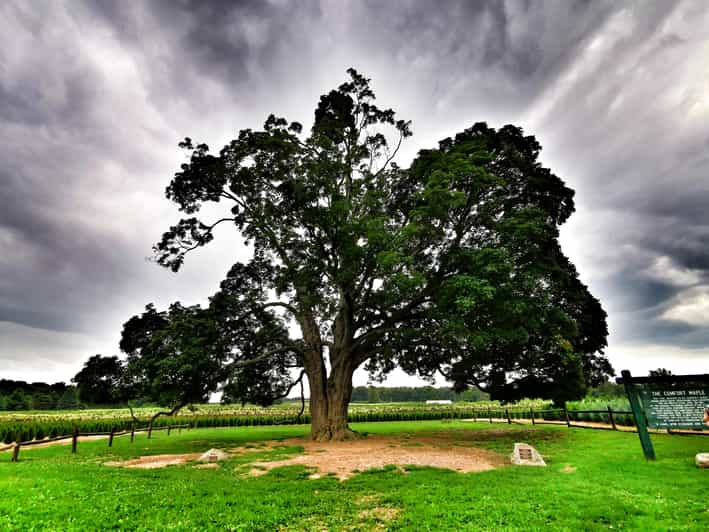 From Toronto Niagara Falls, Ice Wine and Maple Syrup GetYourGuide