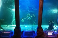 SEA LIFE Great Yarmouth - Housity