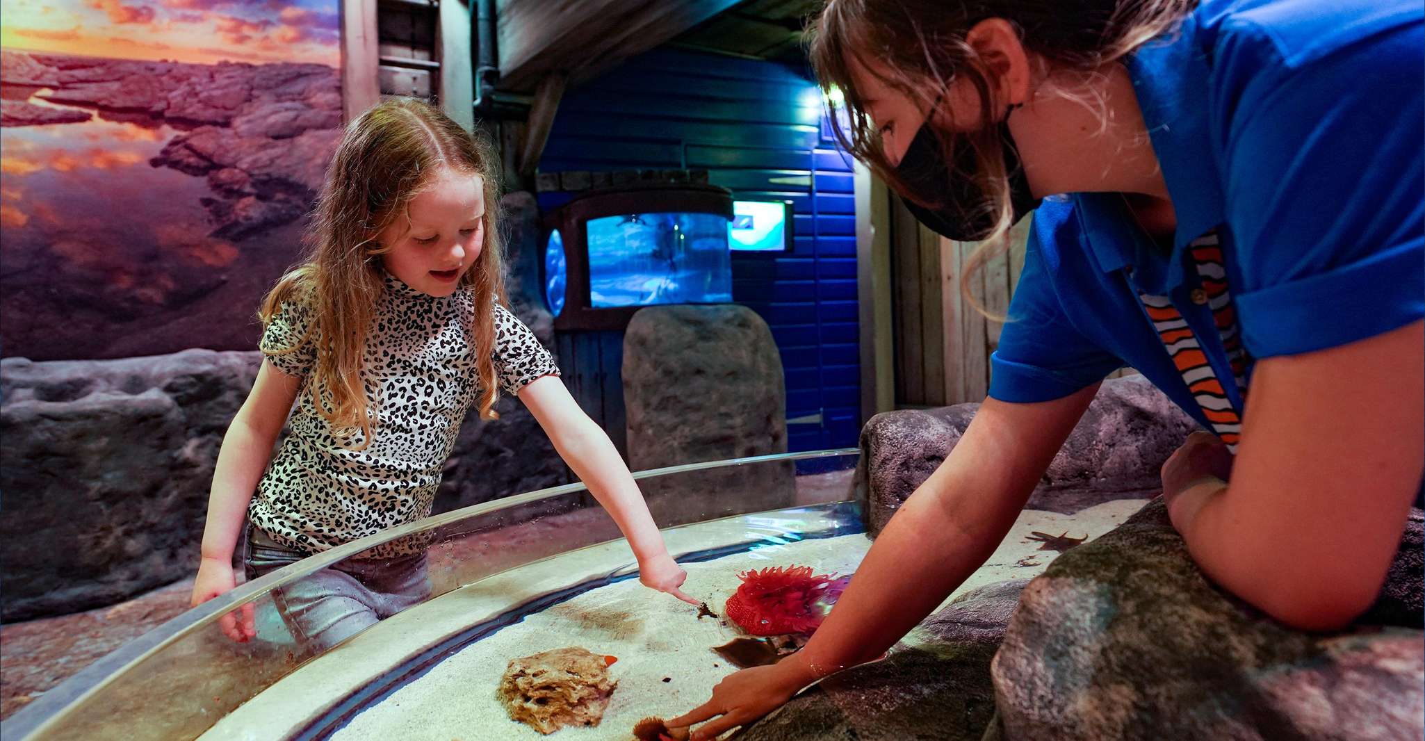 SEA LIFE Great Yarmouth