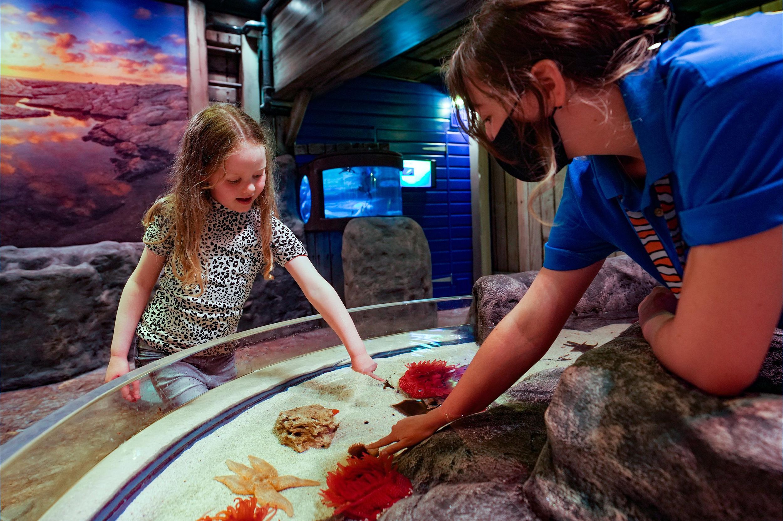 SEA LIFE Great Yarmouth