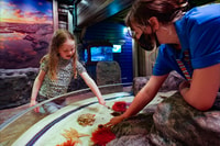 SEA LIFE Great Yarmouth - Housity