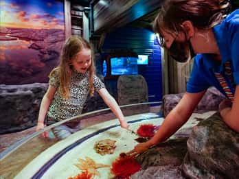 SEA LIFE Great Yarmouth