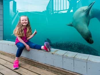 Sea Life Hunstanton