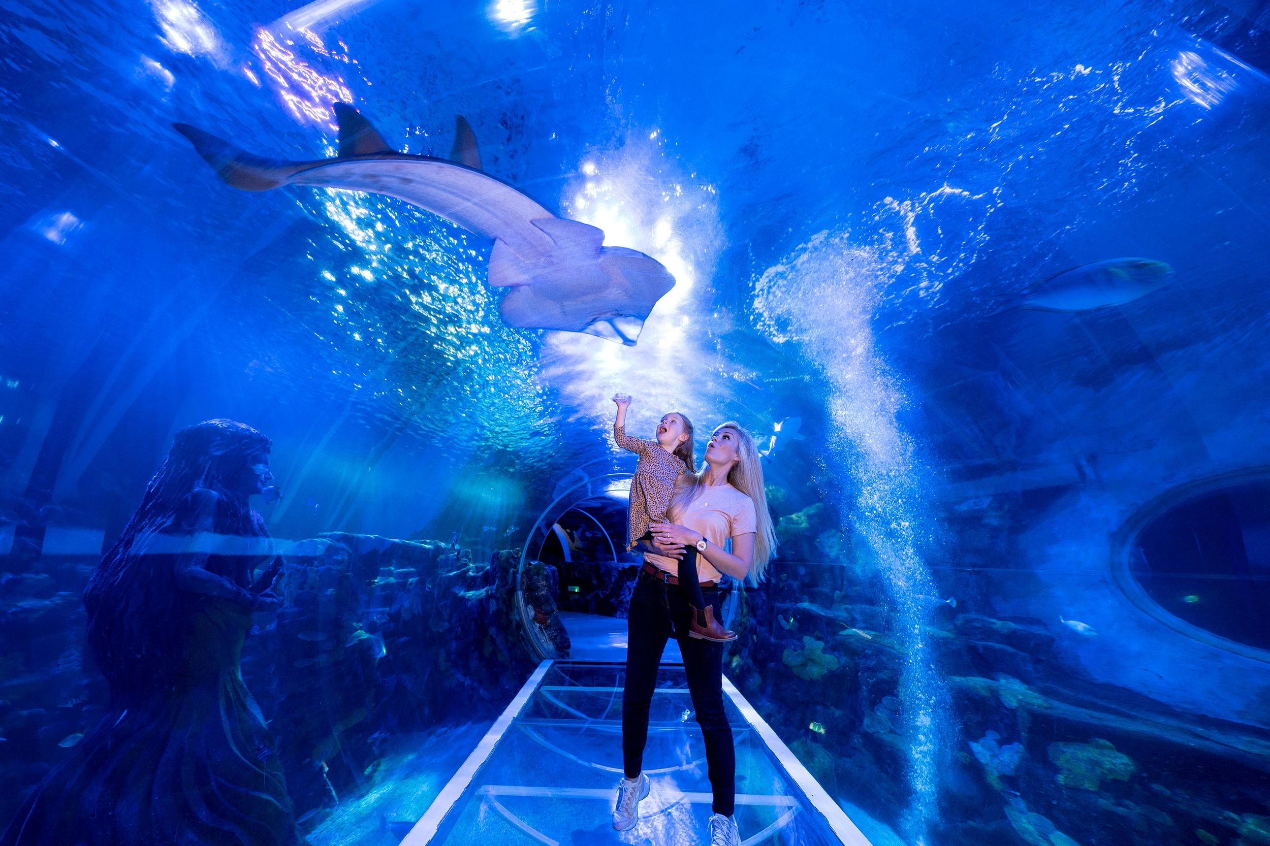 Birmingham: Eintrittskarte für das National Sea Life Centre