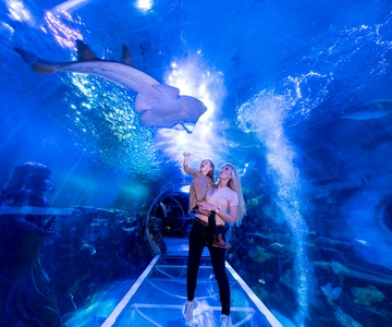 National Sea Life Centre Entrance Ticket