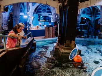 Biglietto d'ingresso al Sea Life Brighton
