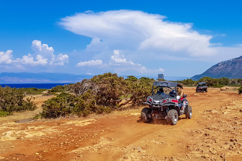 Da Agadir o Taghazout: Tour in Dune BuggyDa Agadir