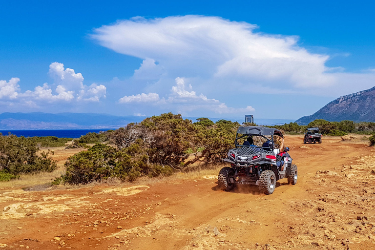 From Agadir or Taghazout: Dune Buggy Tour From Agadir