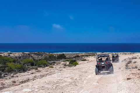 From Agadir or Taghazout: Dune Buggy TourFrom Agadir