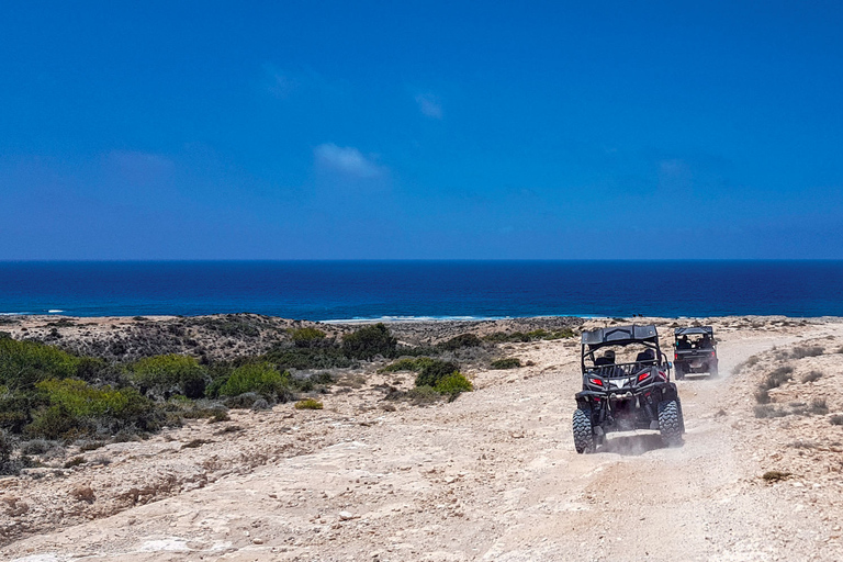 From Agadir or Taghazout: Dune Buggy Tour From Agadir