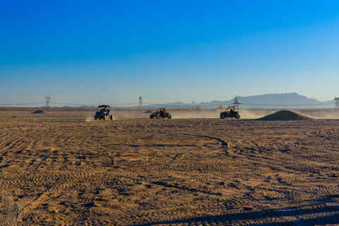 From Agadir or Taghazout: Dune Buggy TourFrom Taghazout