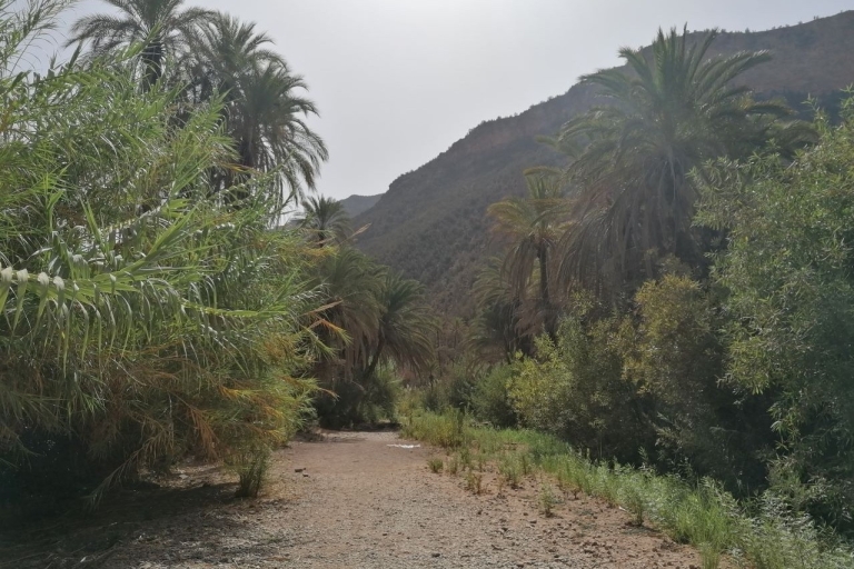 Agadir: excursion d'une demi-journée dans la vallée paradisiaqueAgadir: excursion d'une demi-journée à Paradise Valley