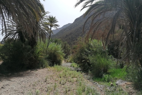 Agadir: excursion d'une demi-journée dans la vallée paradisiaqueAgadir: excursion d'une demi-journée à Paradise Valley