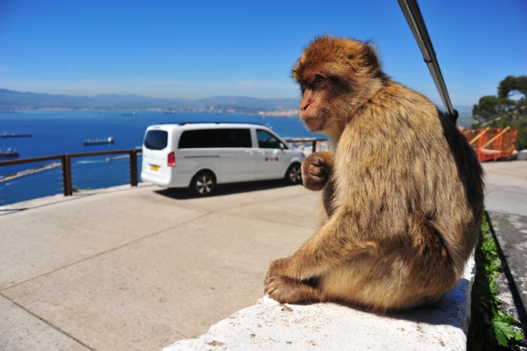 Gibraltar: Private Highlights Tour z biletami i transferemGibraltar: Prywatna wycieczka po najważniejszych wydarzeniach z biletami i transferem