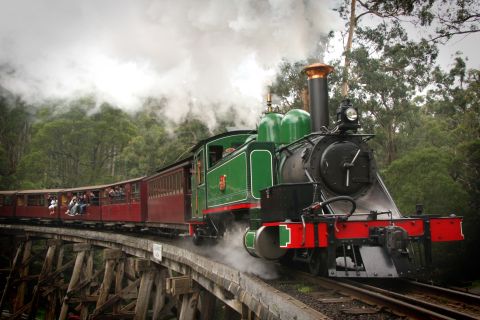 Puffing Billy, Moonlit Sanctuary, & Penguin Parade Day Trip