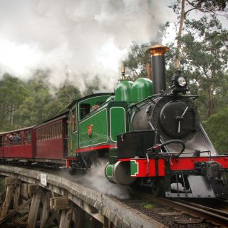 Puffing Billy, Moonlit Sanctuary, & Penguin Parade Day Trip