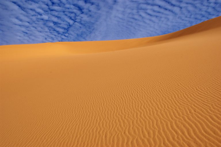 Depuis Agadir/Taghazout : Dunes de sable du Sahara avec transfert