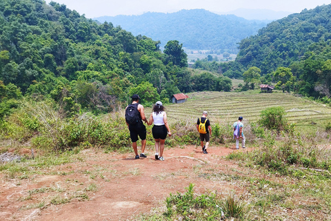 De Chiang Mai: excursion de randonnée dans le parc national de Doi Inthanon