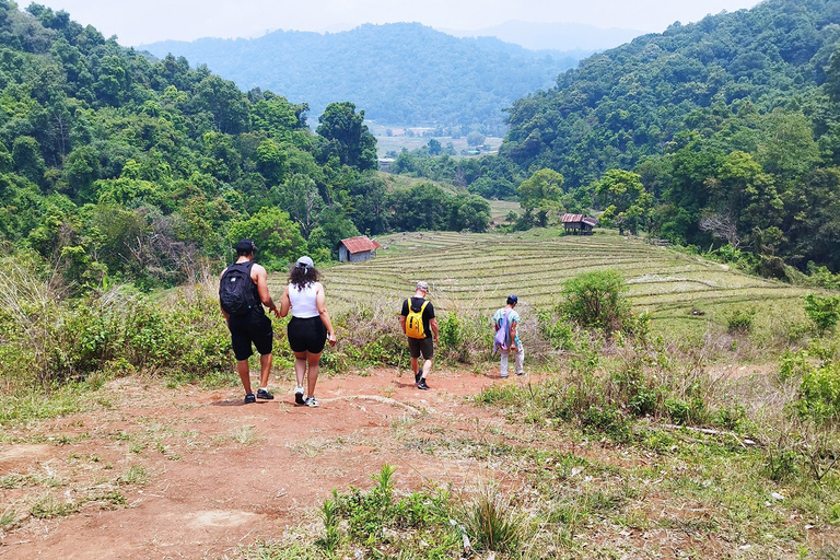 From Chiang Mai: Doi Inthanon National Park Hiking Tour