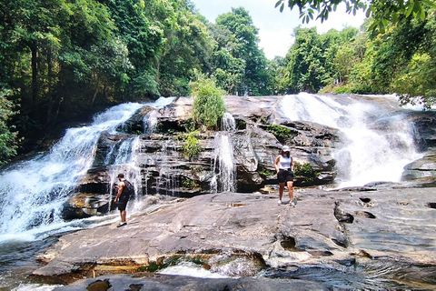 Desde Chiang Mai: tour de senderismo en el Parque Nacional Doi Inthanon