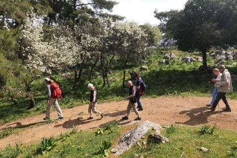 Rodas: Caminata por el monte Profitis Ilias desde SalakosSin recoger y dejar