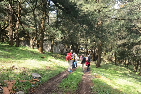 Rhodes: Hike Mountain Profitis Ilias from Salakos villageWithout Pick-up and Drop-off