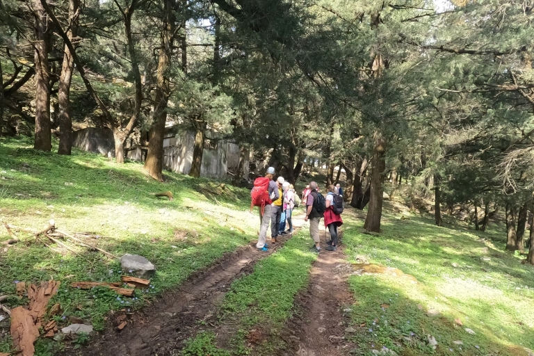 Rodas: Caminata por el monte Profitis Ilias desde SalakosSin recoger y dejar