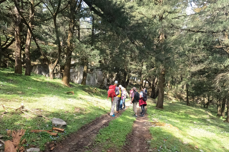 Rhodos: wandeling naar de berg Profitis Ilias vanuit SalakosMet ophalen en wegbrengen