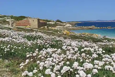 Salvora: Island Tour with Mussel Tasting