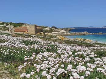 Salvora: Island Tour with Mussel Tasting