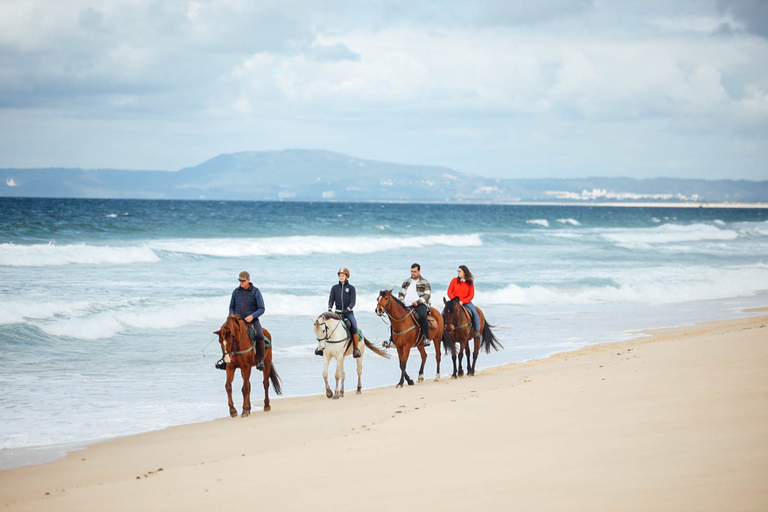 Comporta: begeleide paardrijervaring