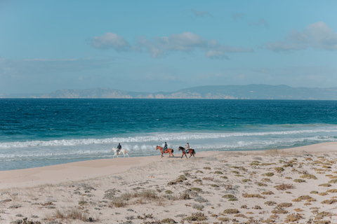 Comporta: expérience d'équitation guidée