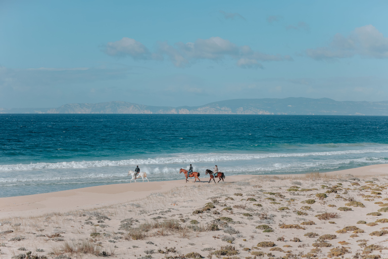 Comporta: experiencia guiada a caballo