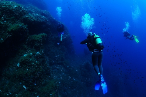 Ibiza: 3,5-tägiger PADI Open Water Diver-TauchkursIbiza: 3,5-tägiger PADI Open Water Diving Kurs