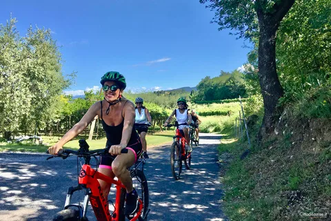 Lazise: Passeio de bicicleta e degustação de vinhos