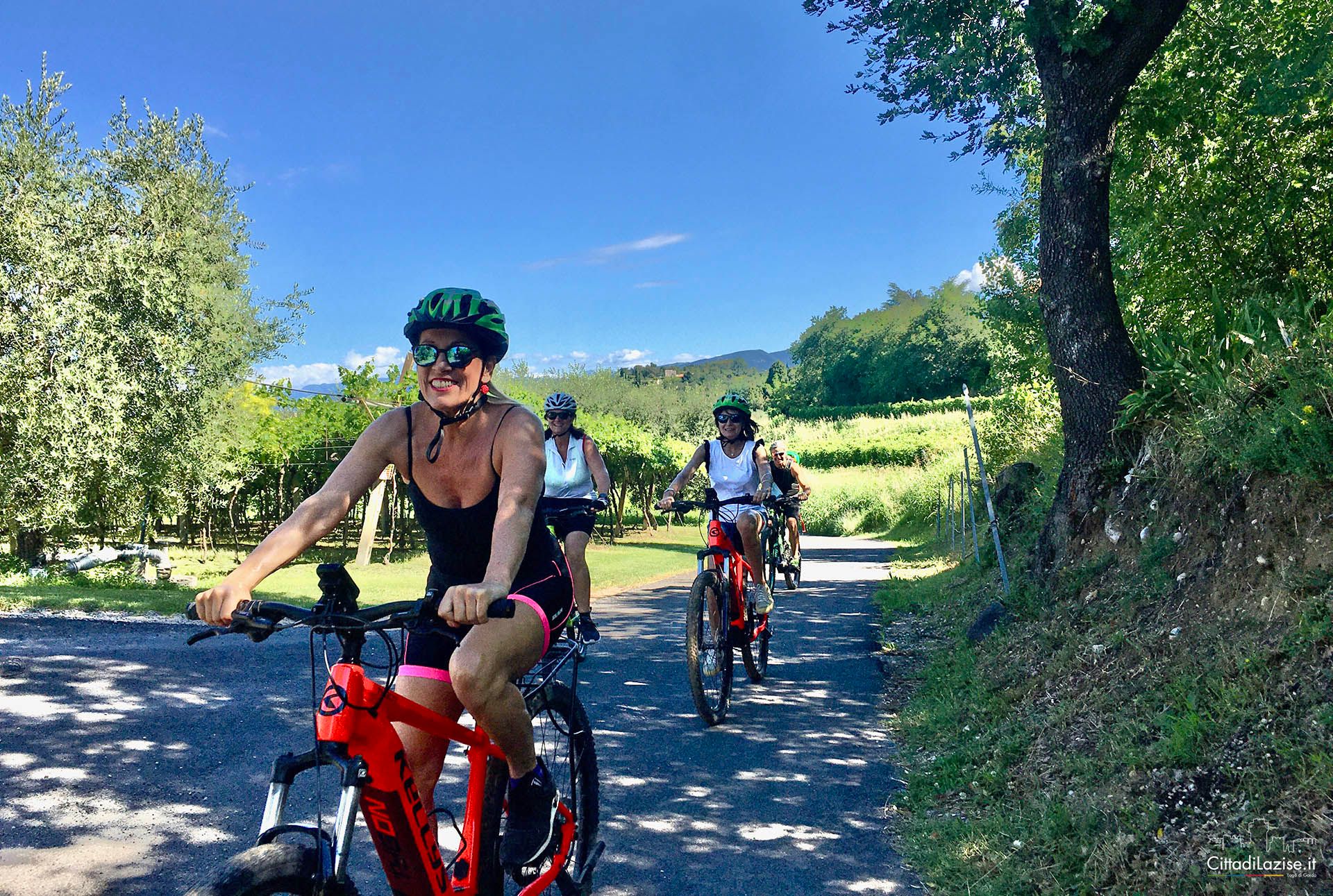 Lazise: Fahrradtour und Weinverkostung