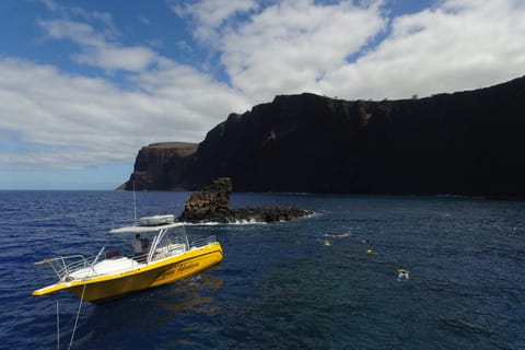 Maui: Snorkeling and Dolphin Sightseeing to Lana'i Island