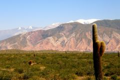 De Salta: Excursão de 2 dias a Cachi e Humahuaca com traslado