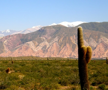 Van Salta: 2-daagse Cachi- en Humahuaca-tour met transfer