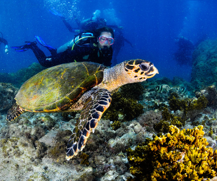 Arraial do Cabo: Scuba Diving Experience
