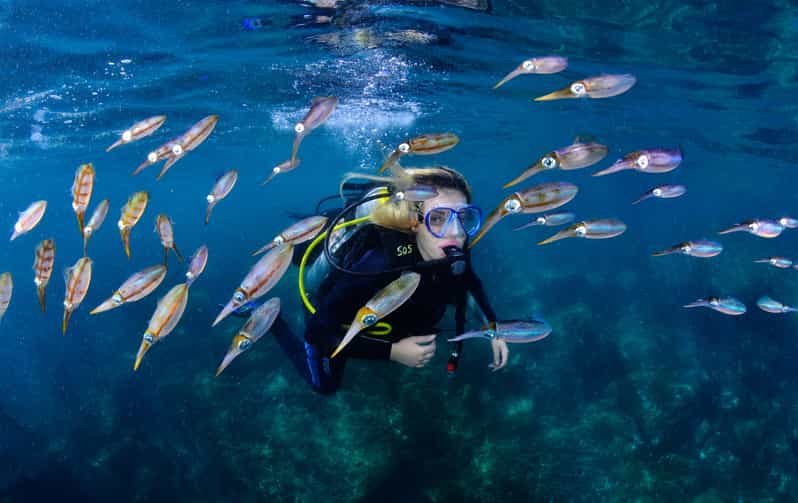 Arraial Do Cabo Scuba Diving Experience GetYourGuide arraial-do-cabo-scuba-diving-experience-getyourguide