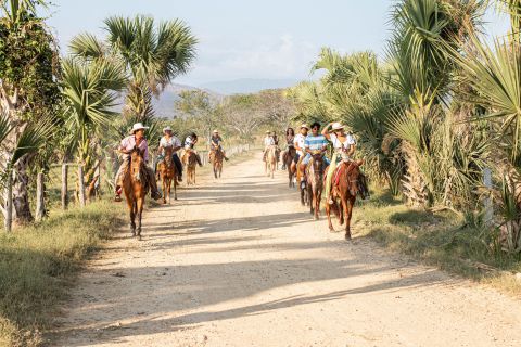 Puerto Escondido: Sunset Horse Riding Tour