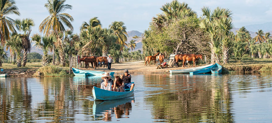 Dagtrip Vanuit Puerto Escondido GetYourGuide