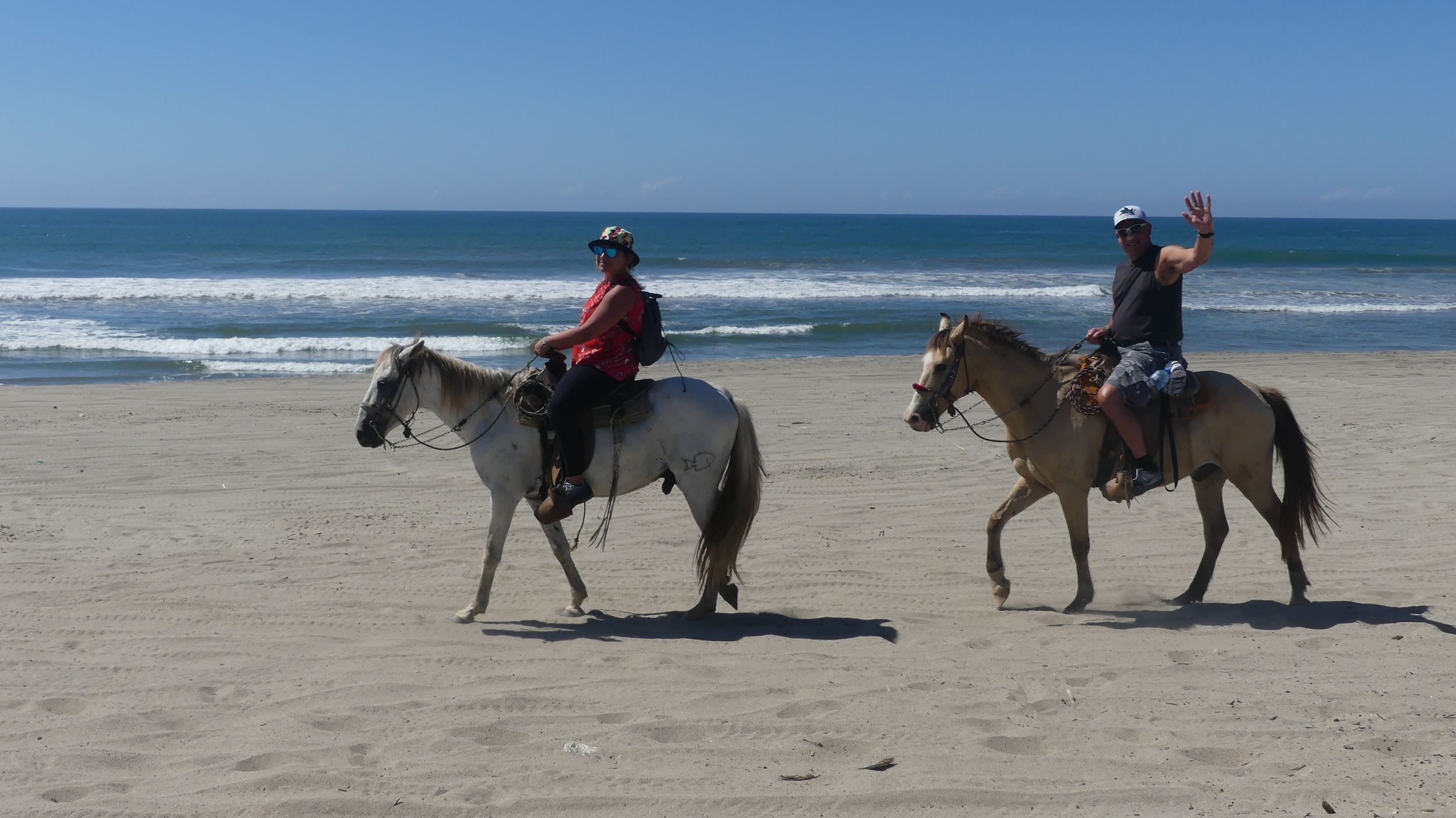 Reiten am Strand Schildkrötenbefreiung Krokodilfarm-Erlebnis