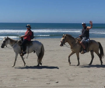 .Beach Horse Riding Turtle Release Crocodile Farm Experience