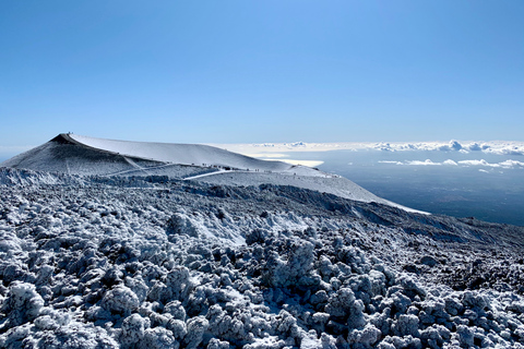 Etna: Wycieczka piesza do kraterów wulkanu