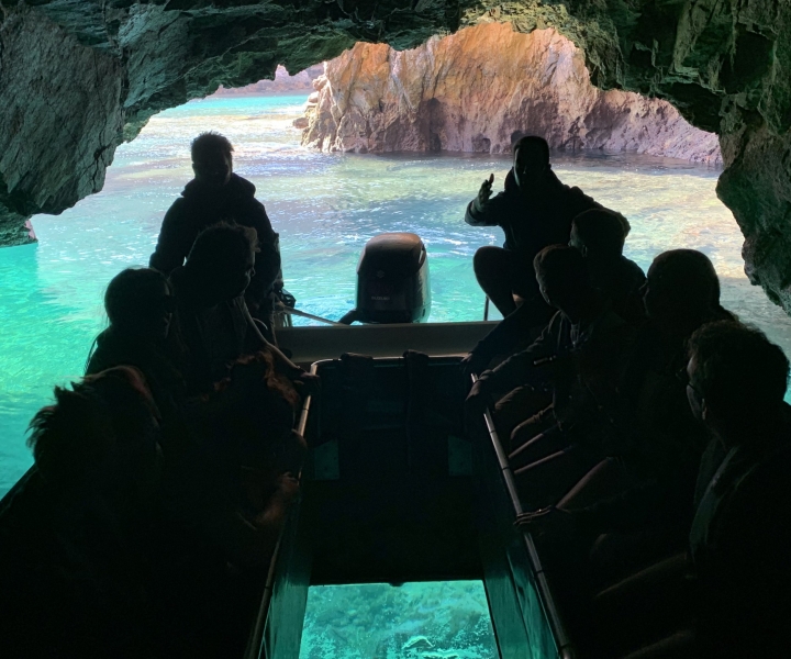Peniche: Berlenga-øen og grottetur