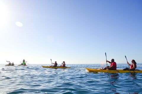 Los Cabos: Bay Kayaking and Snorkeling Private Tour
