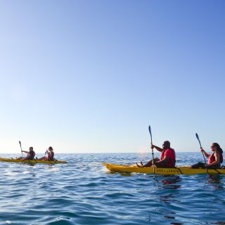Los Cabos: tour privato di kayak e snorkeling nella baia
