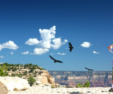 Grand Canyon: Morgendliche Off-Road Safari mit Skip the Gate